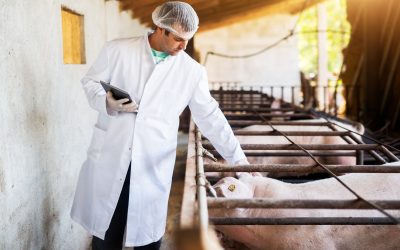 La Unión Nacional de Aulas Porcina estará en el ANAPORC 2025